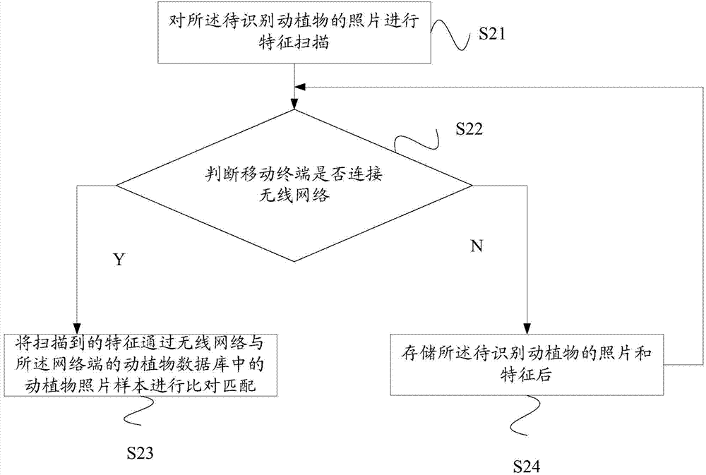 Animal/plant identification method and system for mobile terminal