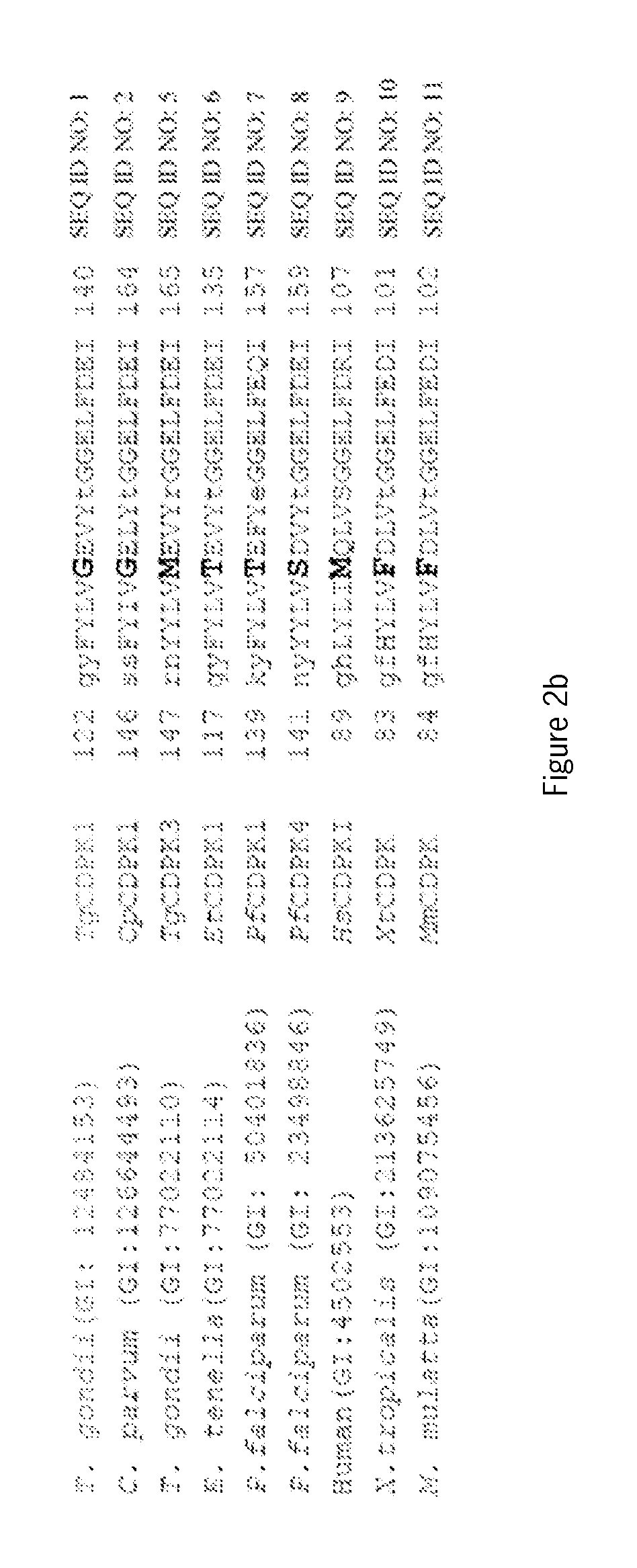 Compositions and methods for treating toxoplasmosis, cryptosporidiosis, and other apicomplexan protozoan related diseases