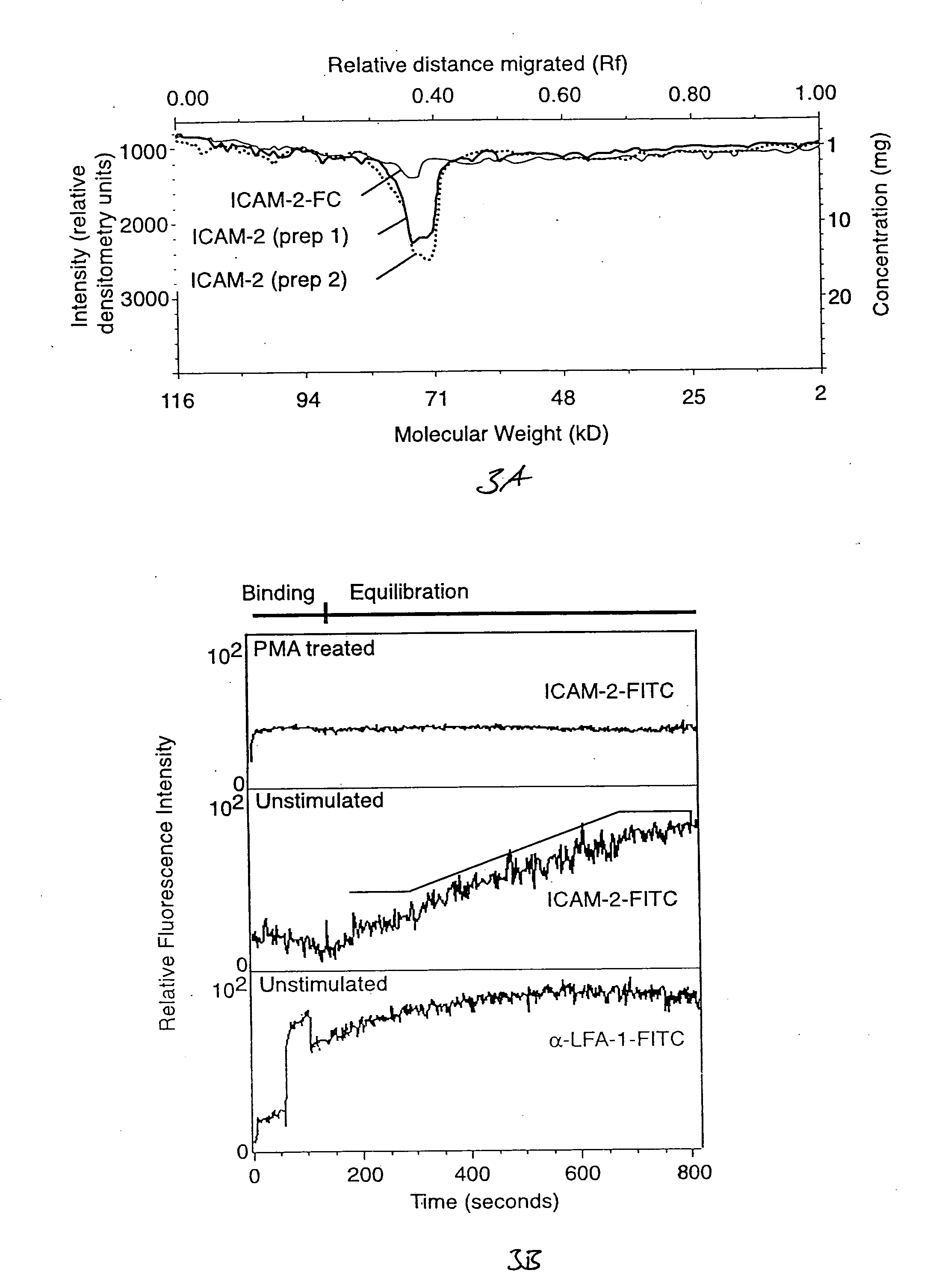 Methods and compositions for detecting receptor-ligand interactions in single cells
