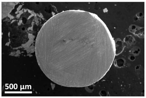 Metal foam/high entropy metal glass composite material with large compressive strain and preparation method thereof