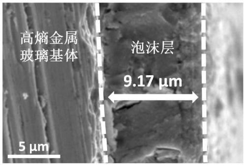 Metal foam/high entropy metal glass composite material with large compressive strain and preparation method thereof