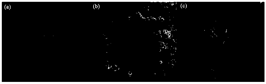 Preparation method and application of silver iodide/bismuth selenate composite material