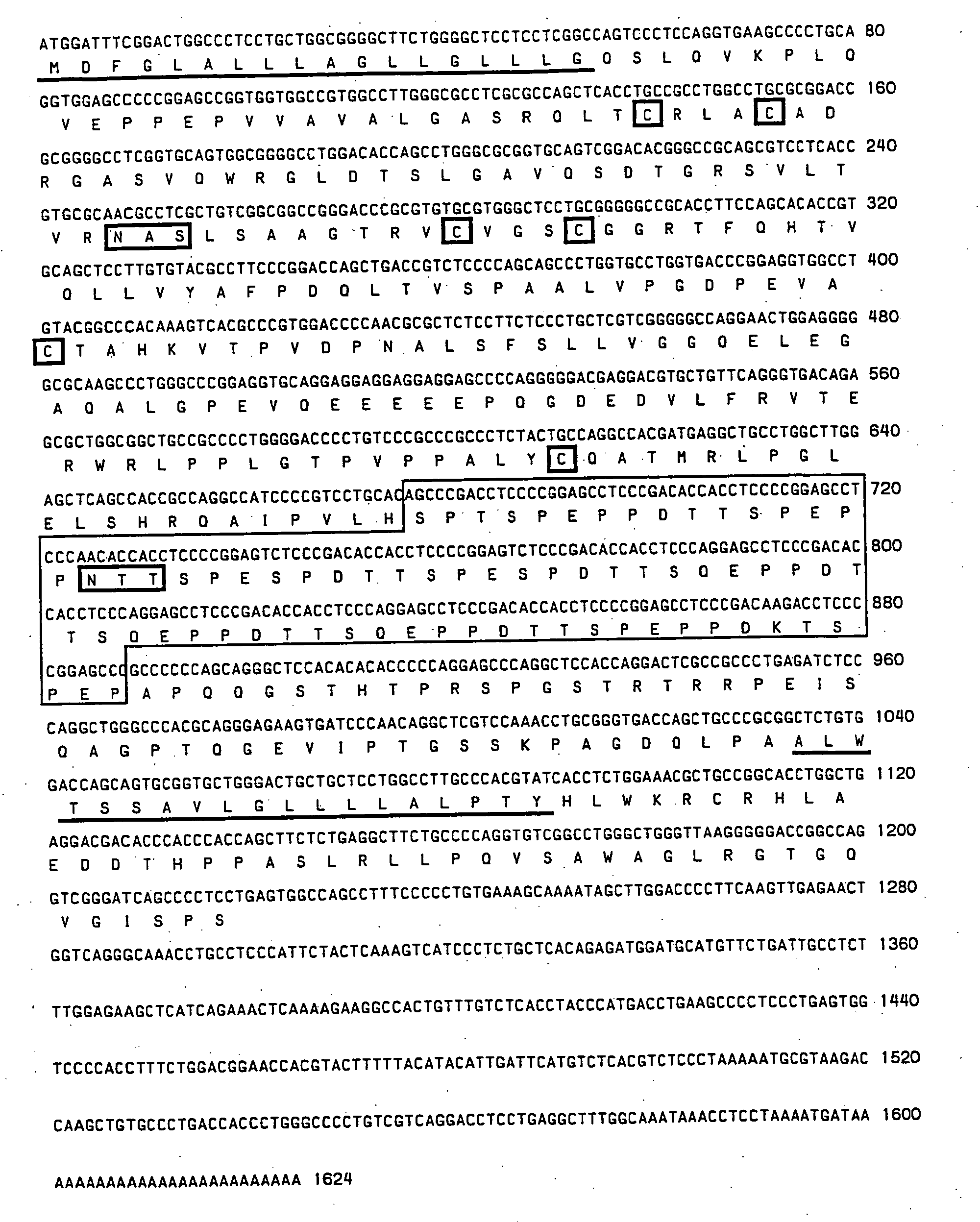 Mucosal vascular addressins and uses thereof