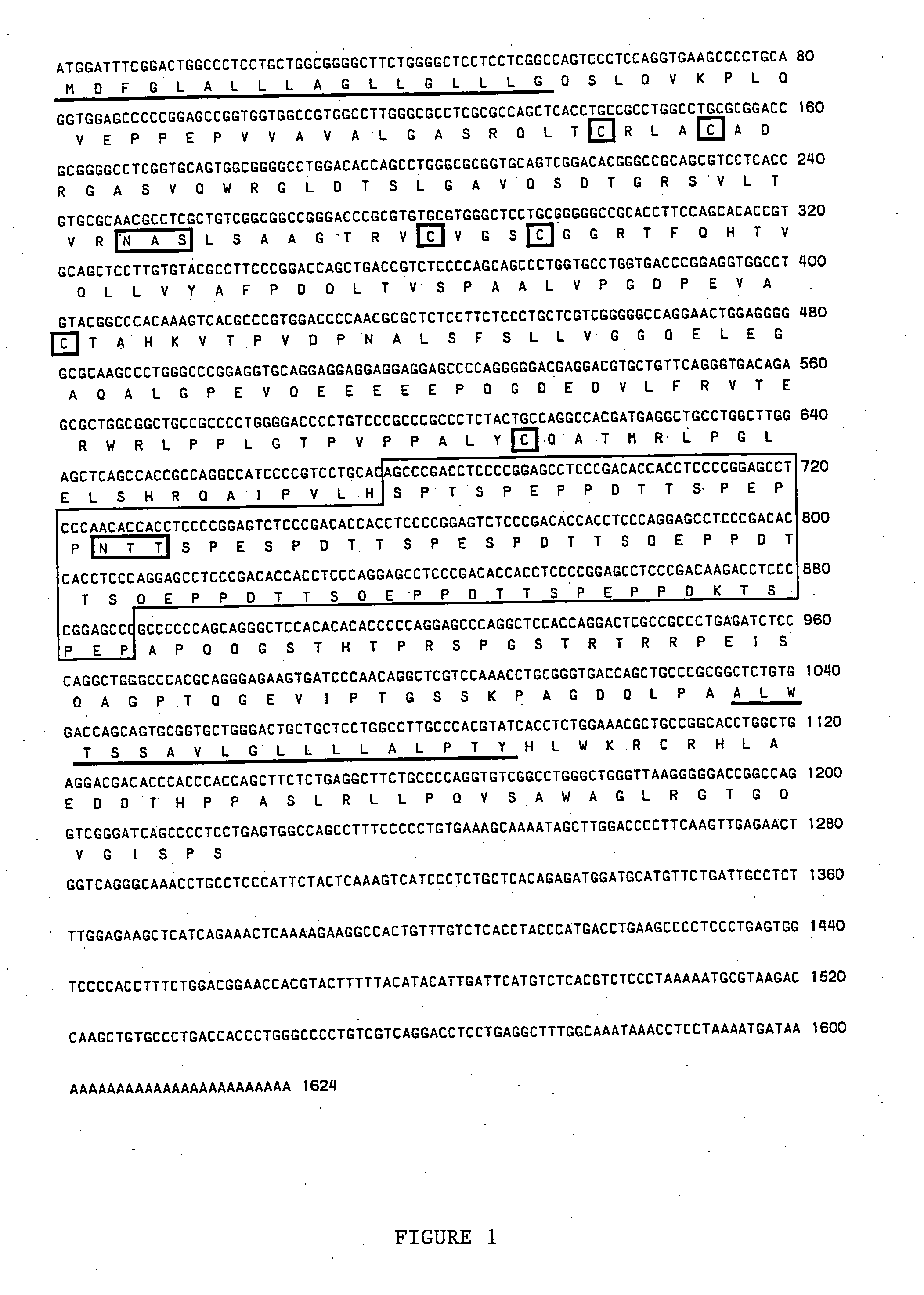 Mucosal vascular addressins and uses thereof