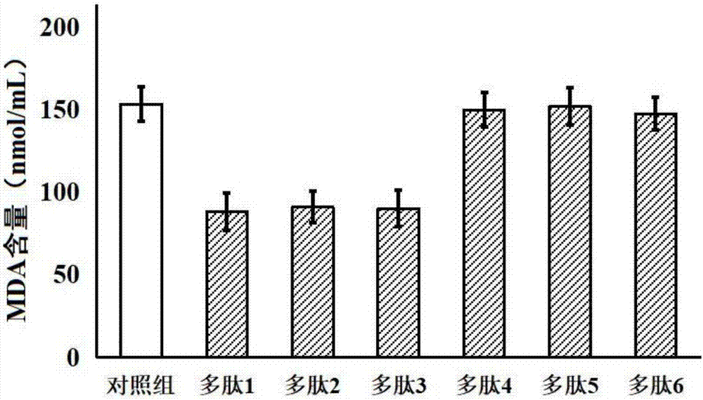 Oil tea meal polypeptide, and preparation method and application thereof in cryopreservation of bovine semen