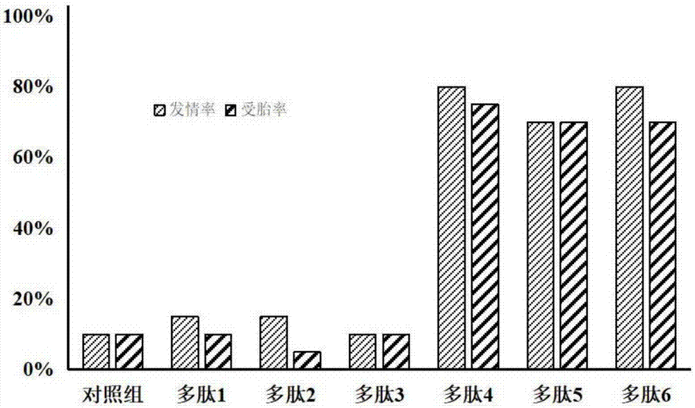 Oil tea meal polypeptide, and preparation method and application thereof in cryopreservation of bovine semen