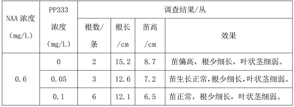 Water chestnut stem tip tissue culture method