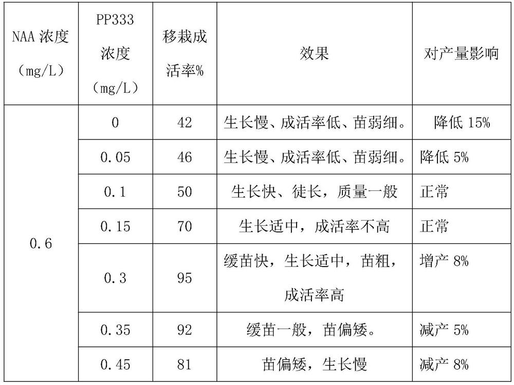 Water chestnut stem tip tissue culture method