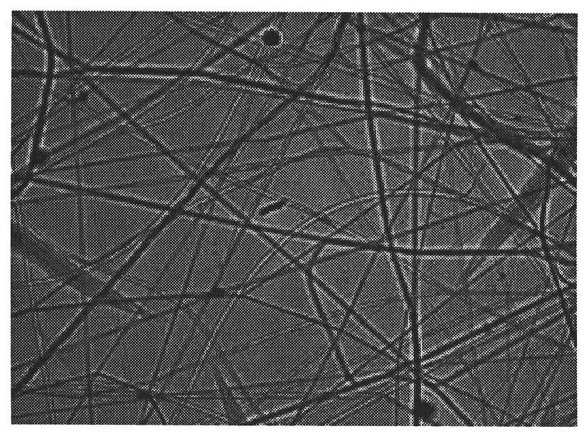 Biocompatible nano-conductive fiber and preparation method thereof