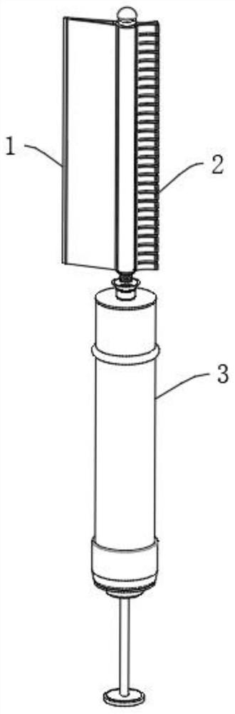 Facial beauty instrument