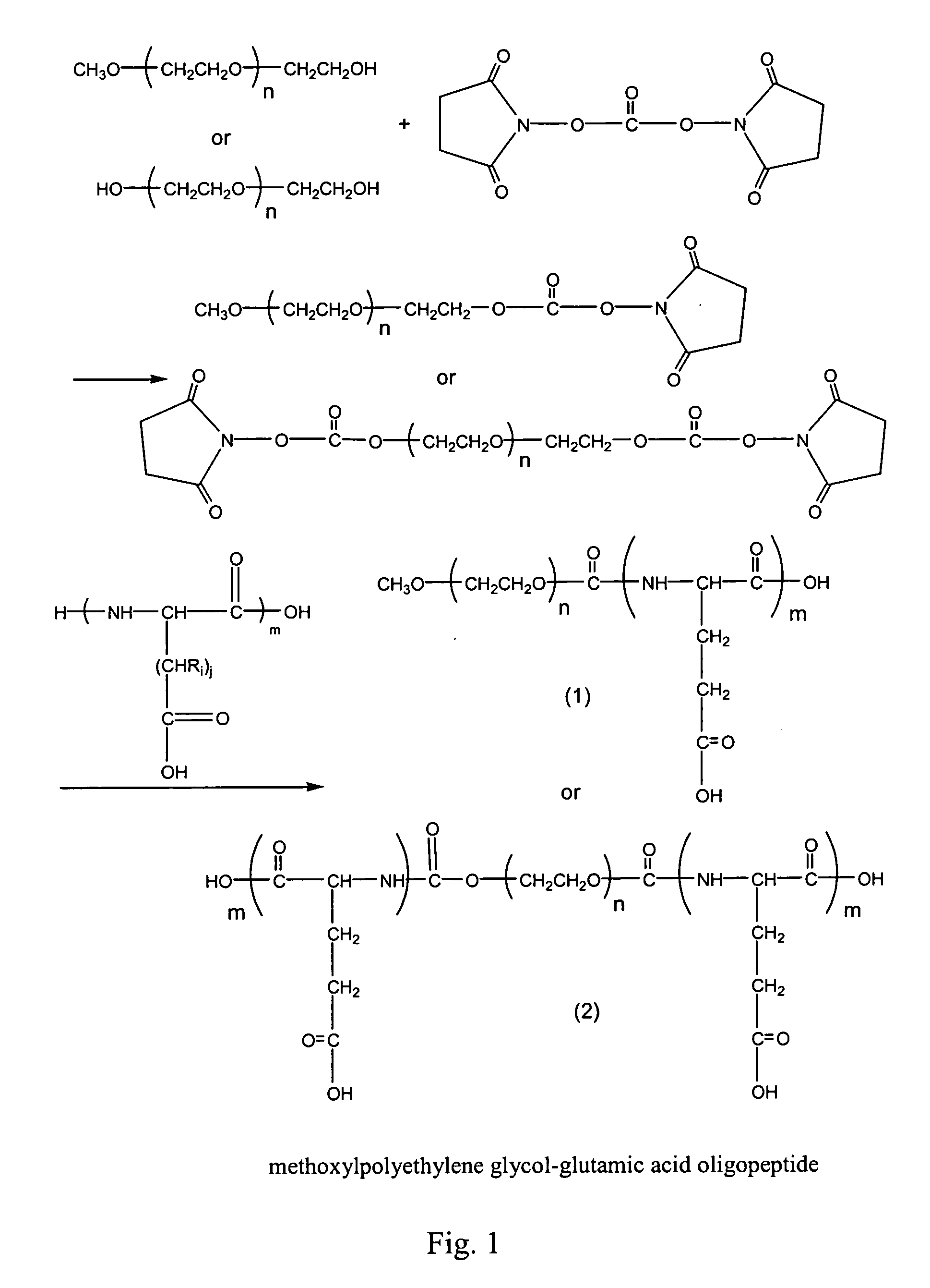 Compounds of hydrophilic polymer-polycarboxyl oligopeptide and medicines, medical composite comprising above compound and use of above compound in medicimes