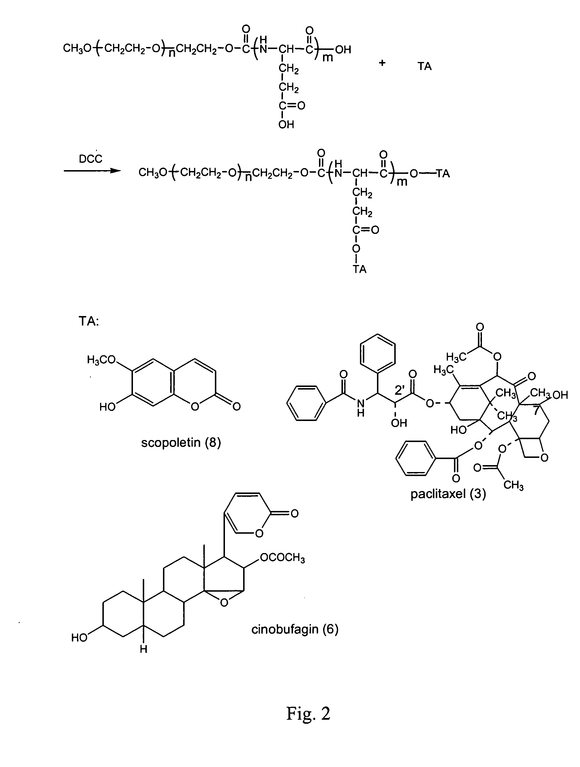 Compounds of hydrophilic polymer-polycarboxyl oligopeptide and medicines, medical composite comprising above compound and use of above compound in medicimes