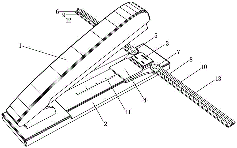 A stapler with a binding ruler