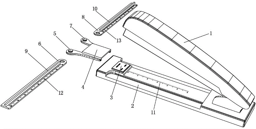 A stapler with a binding ruler