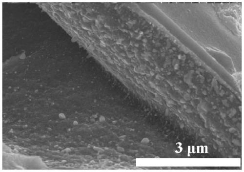 Carbonized fiber paperboard loaded Mo2C/NC catalyst as well as preparation method and application thereof