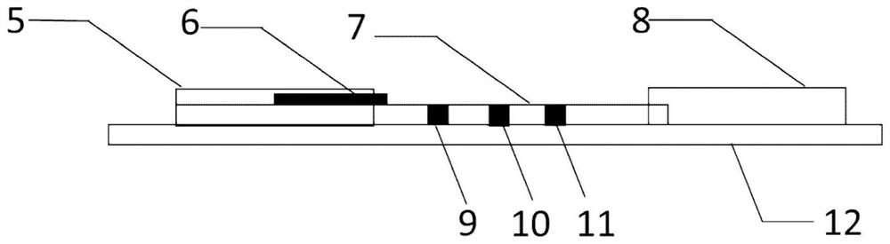 Method and product for detecting SARS-CoV-2 novel coronavirus IgM/IgG antibodies