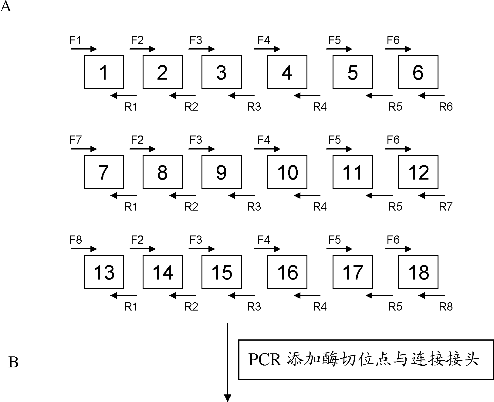 A pair of transcription activator-like effector nucleases and coding engines as well as application thereof