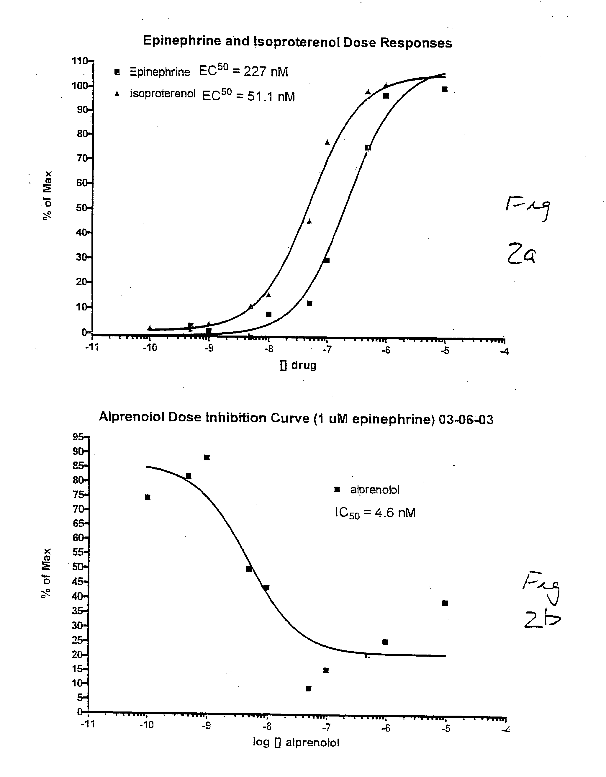 Method for assaying protein-protein interaction