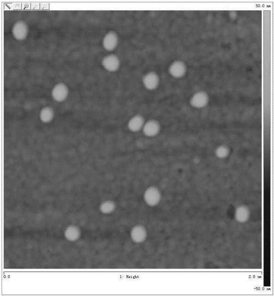 Method for performing in-situ quantitative detection on interaction of gold nanoparticle surface adsorption protein and cytomembrane associated receptor based on quartz crystal chip