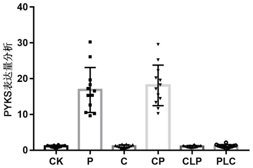 Tropinone biosynthesis fusion protein and its application and method