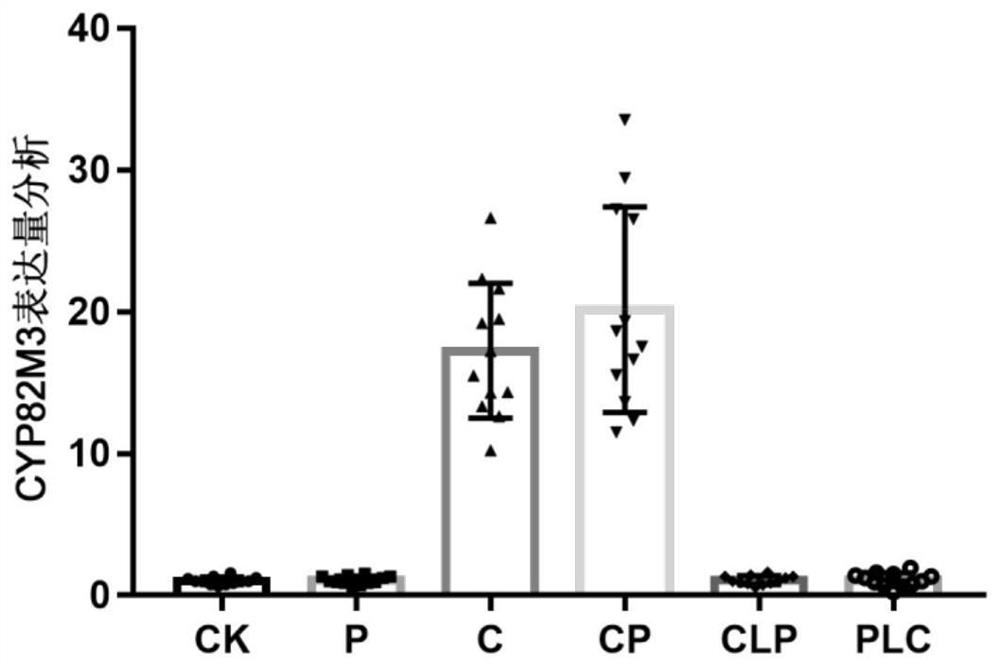 Tropinone biosynthesis fusion protein and its application and method