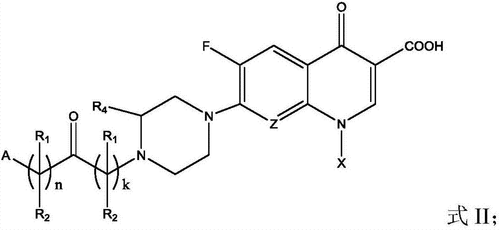 Fluoroquinolone amino derivatives and application thereof
