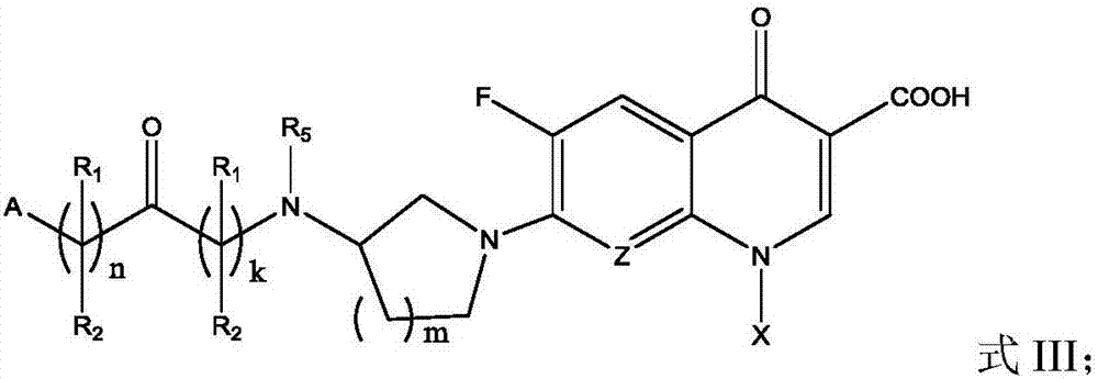 Fluoroquinolone amino derivatives and application thereof