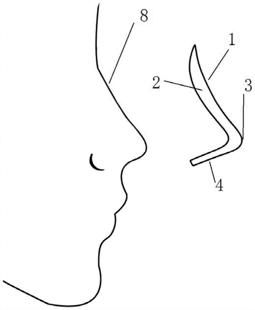 A kind of nasal prosthesis and processing method