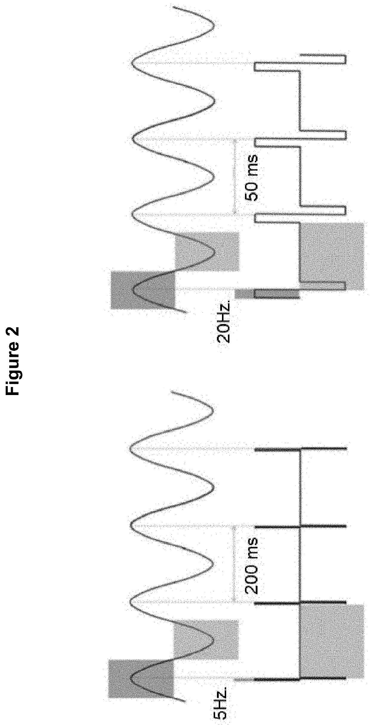 Method for the identification of sensory neuron subtypes in ex vivo preparations