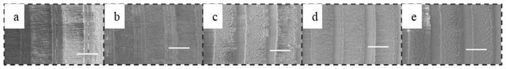 Delivery device for biocompatible droplets, manufacturing method and delivery method thereof