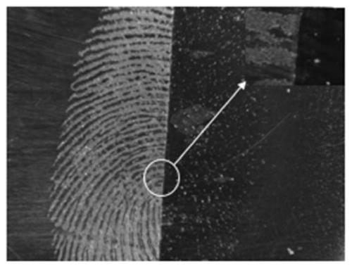 Fingerprint-resistant transparent coating layer and preparation method thereof