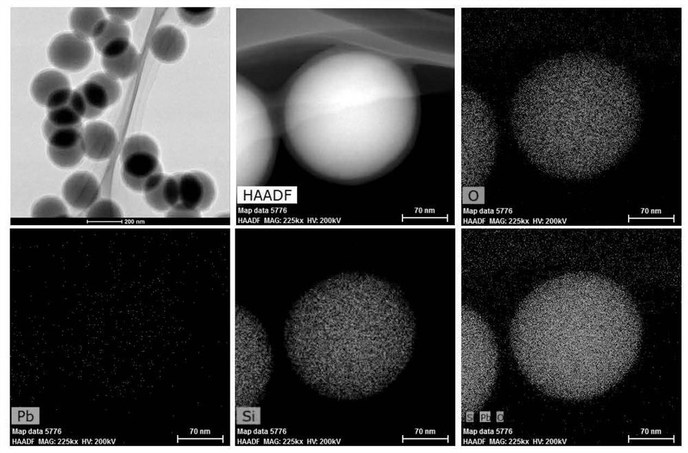 Preparation method of artificial antibody for detecting heavy metal ions