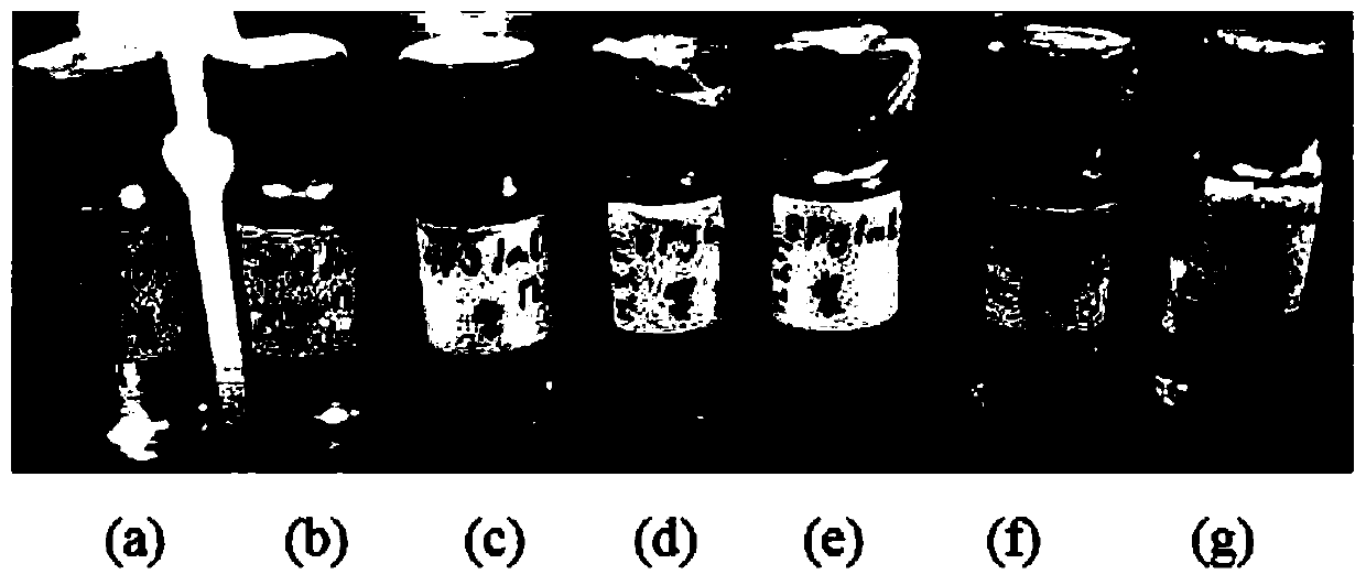 Shikonin temperature-sensitive hydrogel and preparation method and application thereof