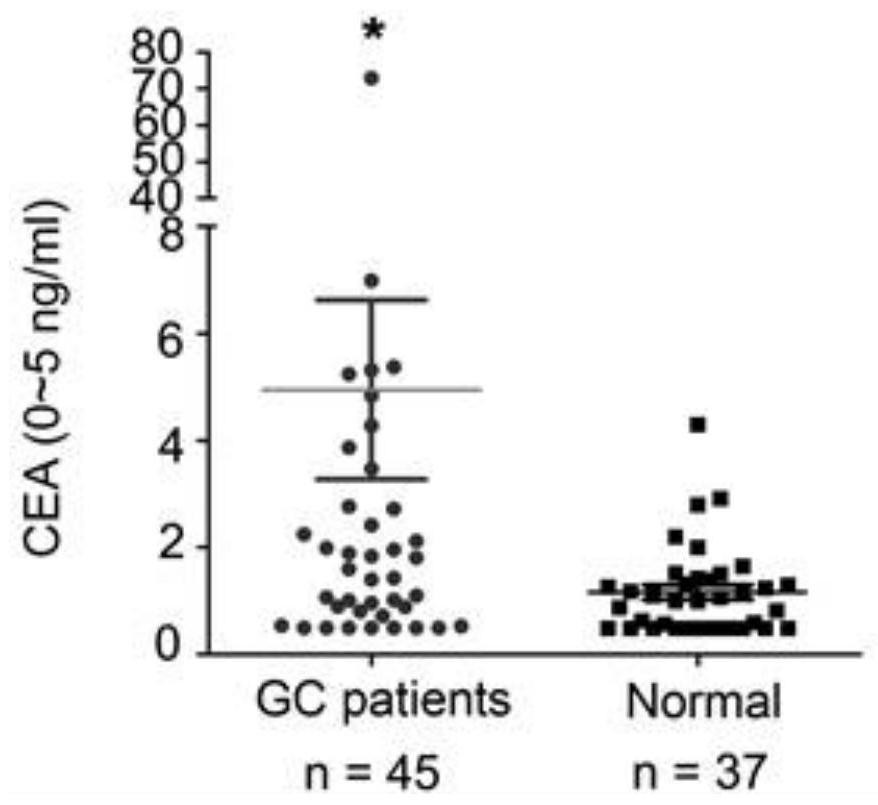 Application of miR-588 and target gene thereof in gastric cancer