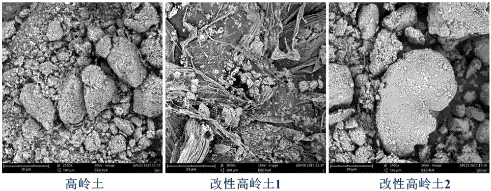 Method for modifying clay by chitosan and algae removal technology application of chitosan modified clay