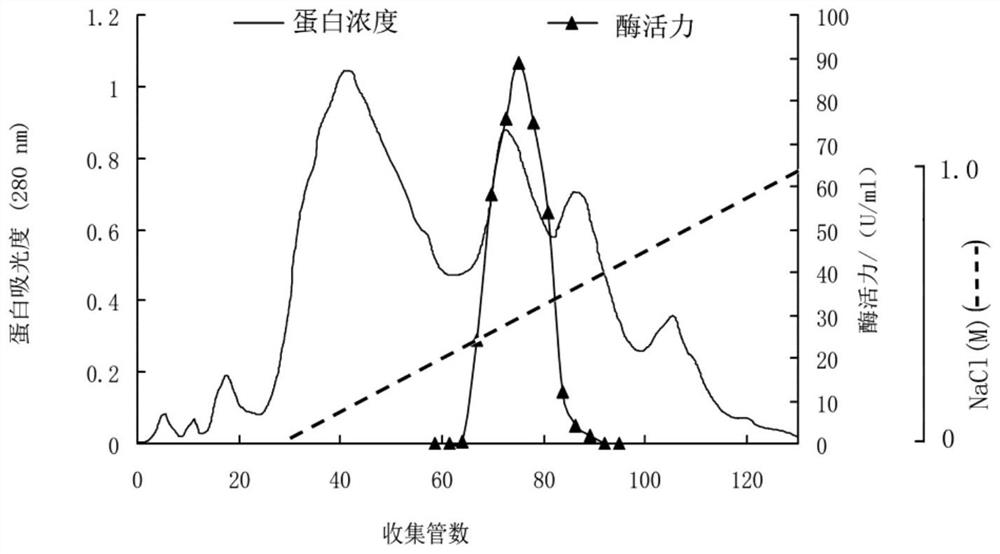 Fermentative preparation and separation and purification method of heat-resistant and acid-resistant glucose oxidase