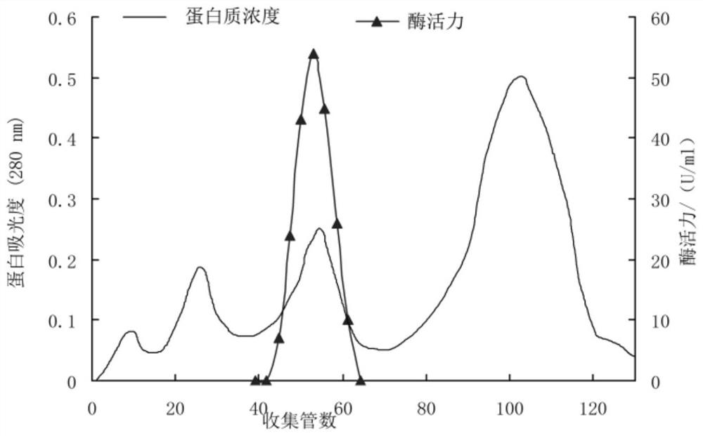 Fermentative preparation and separation and purification method of heat-resistant and acid-resistant glucose oxidase