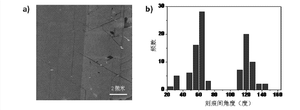 Single-walled carbon nanotube array with chiral selective orientation and method for representing chiral structure thereof