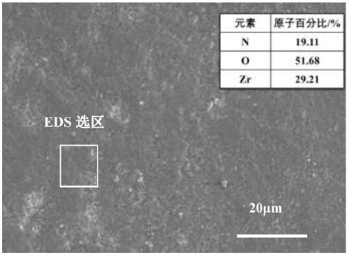A preparation method of a hydrogen permeation-resistant coating on a metal hydride surface in a molten salt system