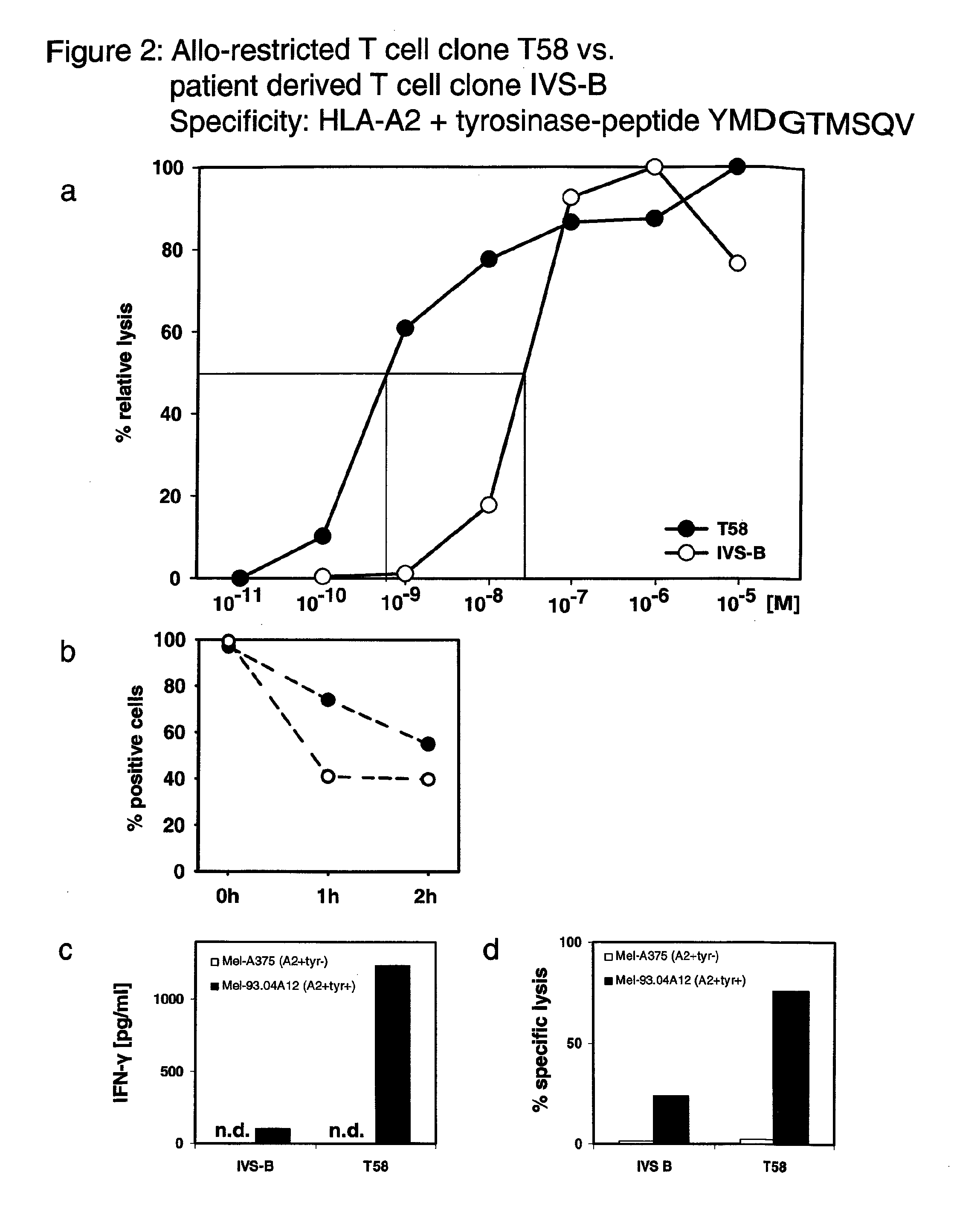 High affinity T cell receptor and use thereof