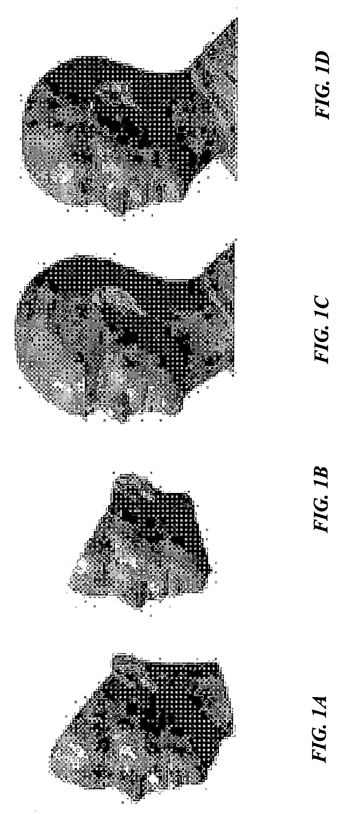 Method for determining optimal viewpoints for 3D face modeling and face recognition