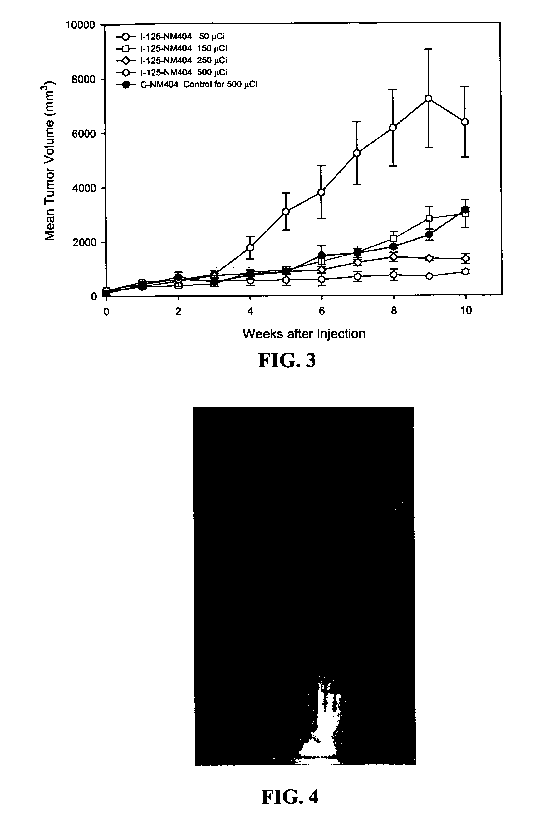 Compositions of phospholipid ether boronic acids and esters and methods for their synthesis and use
