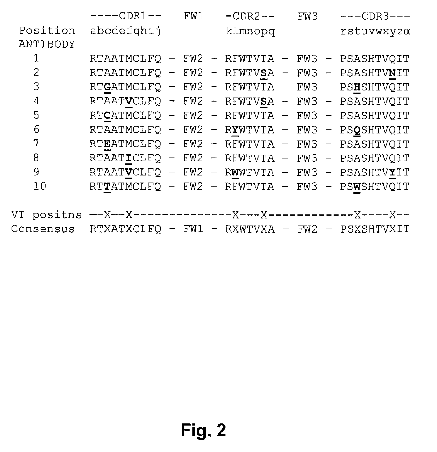 Methods for antibody engineering