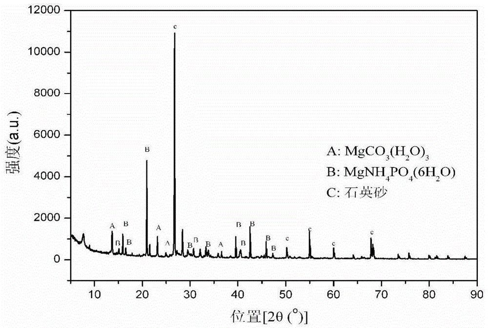 Method for concreting loose sand particles through biological phosphate/carbonate composite cementing material