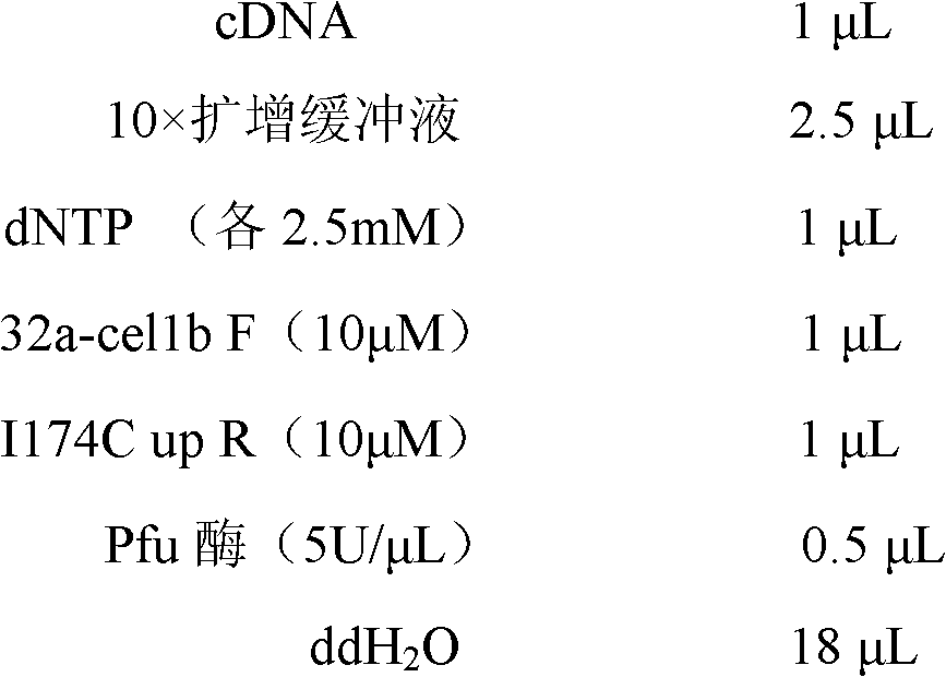 Beta-glucosidase Mut1b as well as expressed gene and application thereof