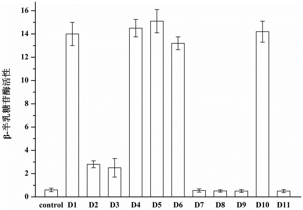 Polypeptide fragment capable of activating saccharomycete and plant cell gene expression and verification method of polypeptide fragment