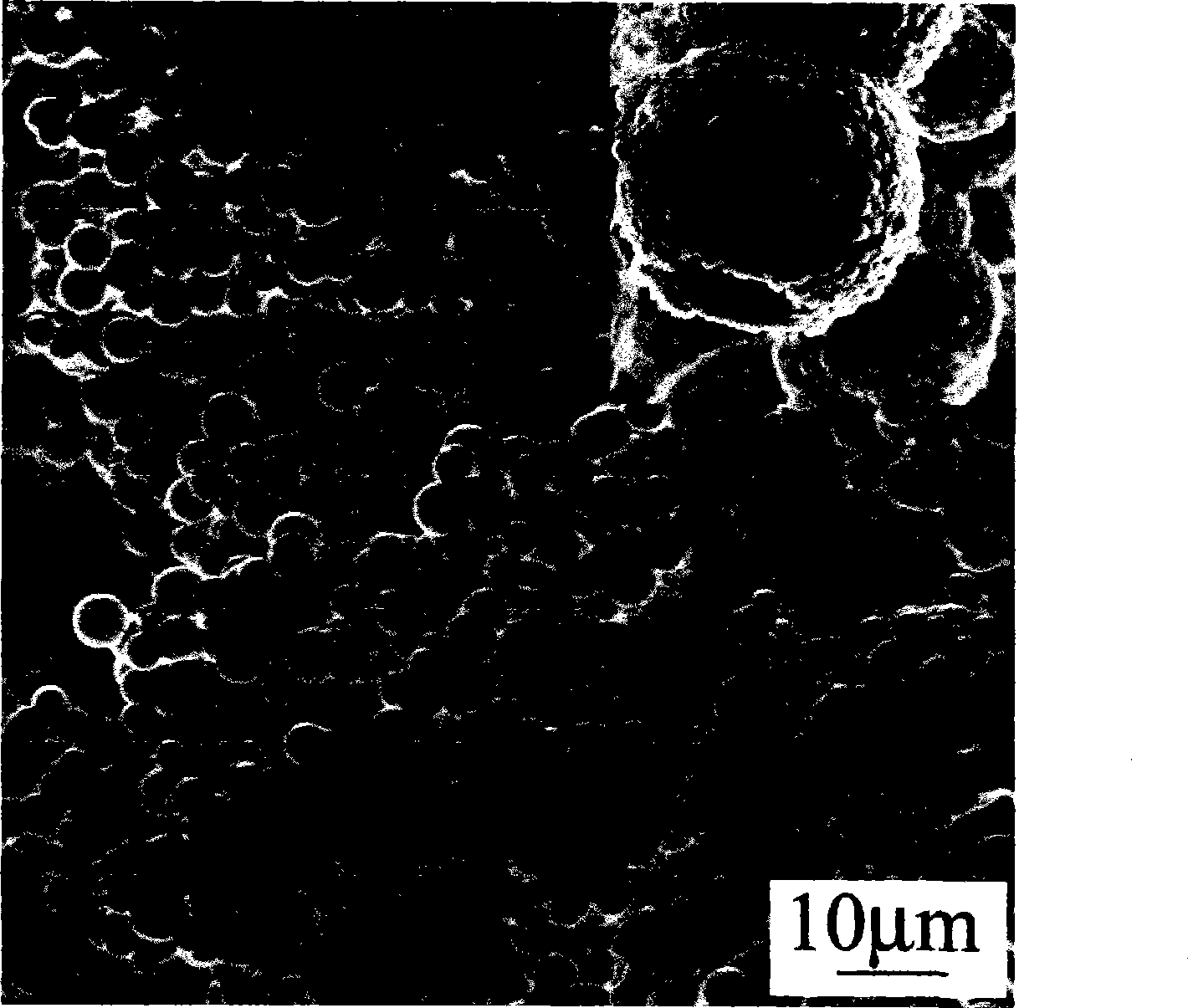 Zinc sulphide micron hollow sphere and preparation thereof