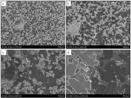 Magnesium-based high-entropy alloy with high toughness and high hardness and preparation method