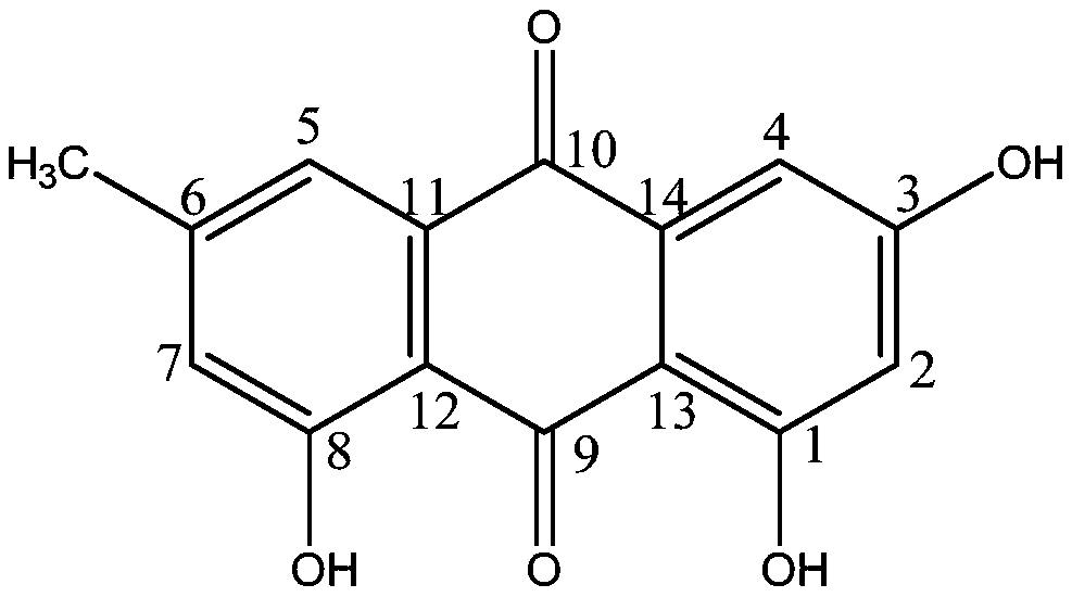 Application of emodin in the preparation of medicines for killing ectoparasitic ciliates in fish