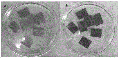Solution preparing method for CsPbI3 film and application of photovoltaic device thereof